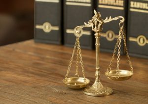 Legal Advocacy